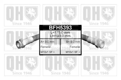 QUINTON HAZELL BFH5393