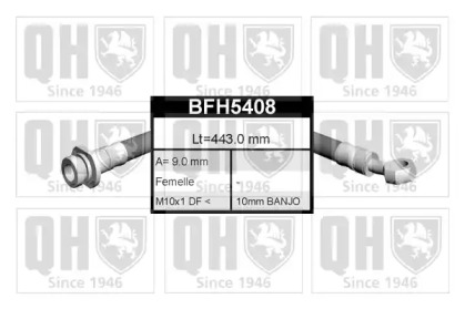 QUINTON HAZELL BFH5408