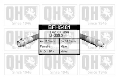 QUINTON HAZELL BFH5481