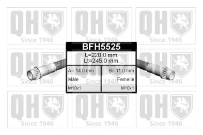 QUINTON HAZELL BFH5525