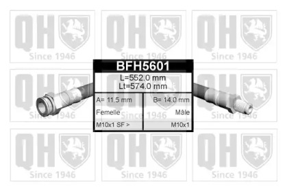 QUINTON HAZELL BFH5601