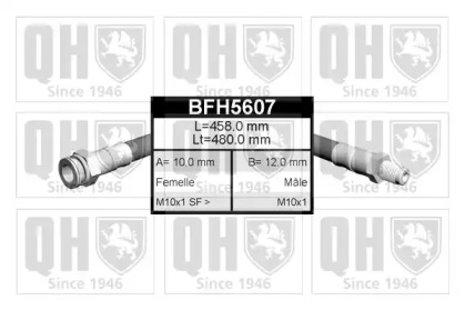 QUINTON HAZELL BFH5607