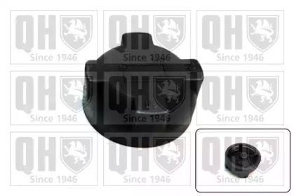 QUINTON HAZELL FC553
