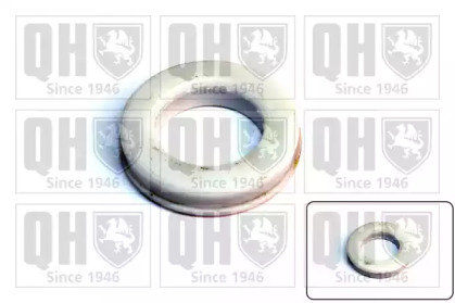 QUINTON HAZELL QAM146