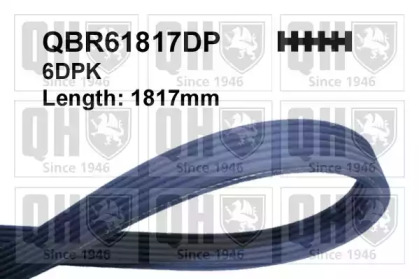 QUINTON HAZELL QBR61817DP