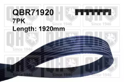QUINTON HAZELL QBR71920 QUINTON HAZELL QBR71920