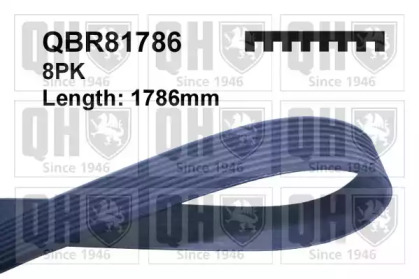 QUINTON HAZELL QBR81786
