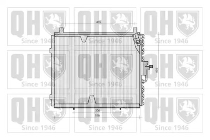 QUINTON HAZELL QCN112