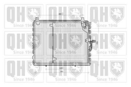 QUINTON HAZELL QCN113