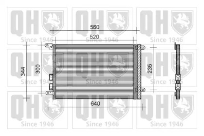 QUINTON HAZELL QCN202