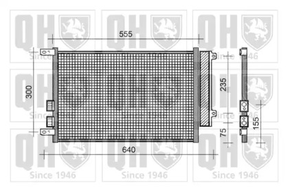 QUINTON HAZELL QCN203