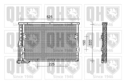 QUINTON HAZELL QCN214