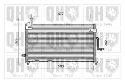 QUINTON HAZELL QCN237