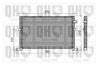 QUINTON HAZELL QCN244