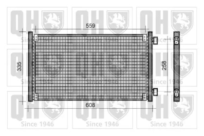 QUINTON HAZELL QCN254