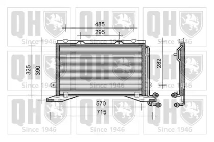 QUINTON HAZELL QCN292