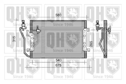 QUINTON HAZELL QCN296