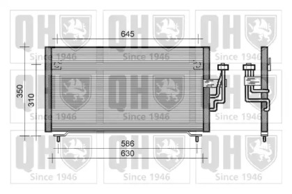 QUINTON HAZELL QCN303