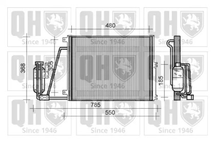 QUINTON HAZELL QCN313