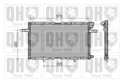 QUINTON HAZELL QCN315