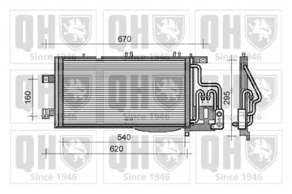 QUINTON HAZELL QCN318