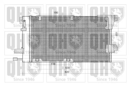 QUINTON HAZELL QCN319