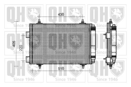 QUINTON HAZELL QCN324