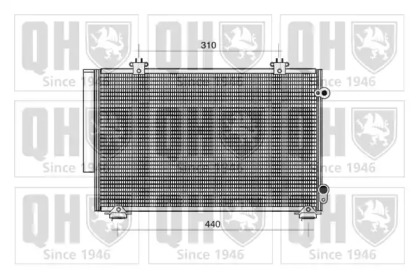 QUINTON HAZELL QCN344