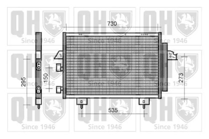 QUINTON HAZELL QCN348