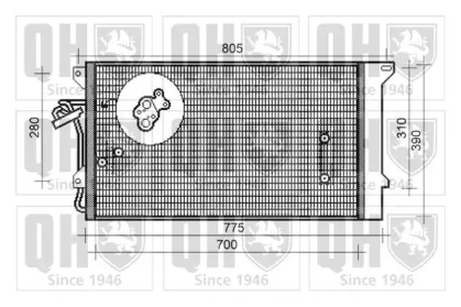 QUINTON HAZELL QCN368