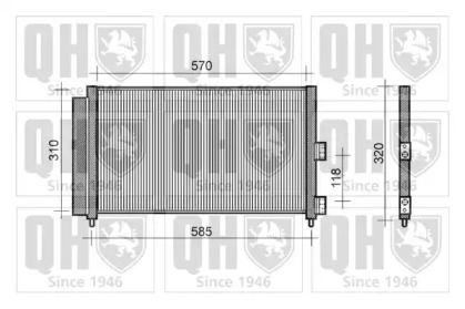 QUINTON HAZELL QCN381