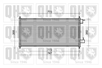 QUINTON HAZELL QCN426