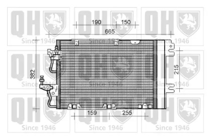 QUINTON HAZELL QCN451