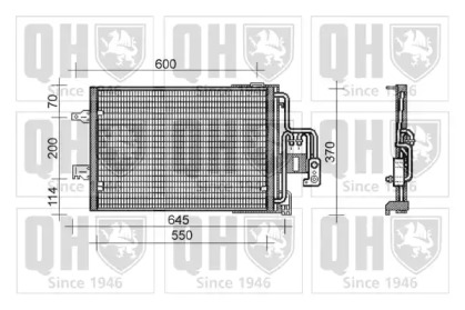 QUINTON HAZELL QCN454