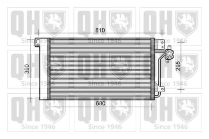 QUINTON HAZELL QCN466