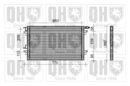 QUINTON HAZELL QCN469