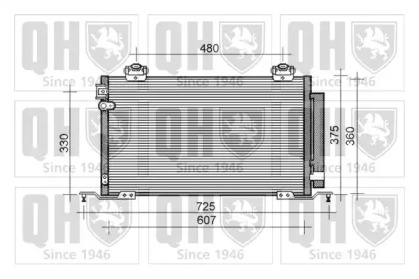 QUINTON HAZELL QCN476