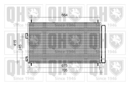 QUINTON HAZELL QCN481