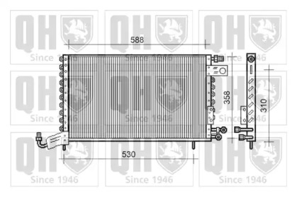 QUINTON HAZELL QCN491