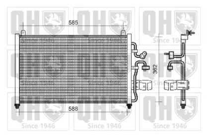 QUINTON HAZELL QCN505