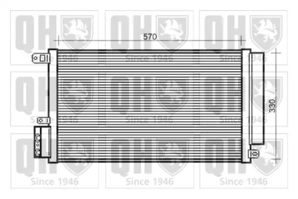 QUINTON HAZELL QCN563