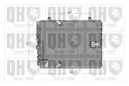 QUINTON HAZELL QCN58