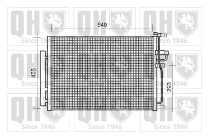 QUINTON HAZELL QCN611