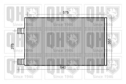 QUINTON HAZELL QCN619