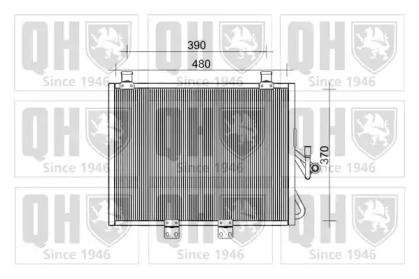 QUINTON HAZELL QCN646