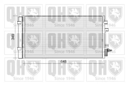 QUINTON HAZELL QCN655