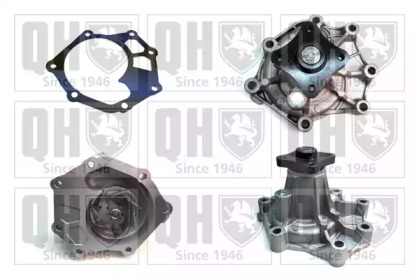 QUINTON HAZELL QCP3894