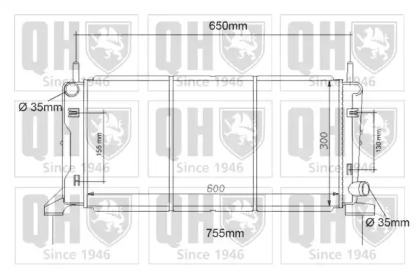 QUINTON HAZELL QER1107