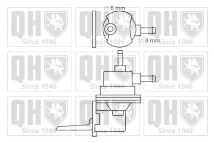 QUINTON HAZELL QFP529