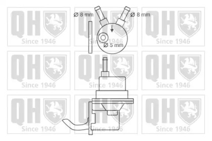 QUINTON HAZELL QFP56